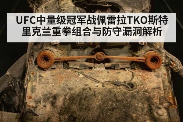UFC中量级冠军战佩雷拉TKO斯特里克兰重拳组合与防守漏洞解析